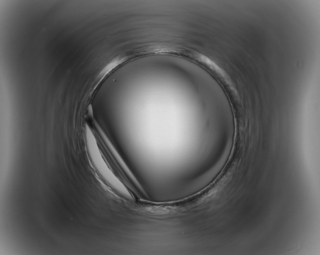 X0000086281185200704191940