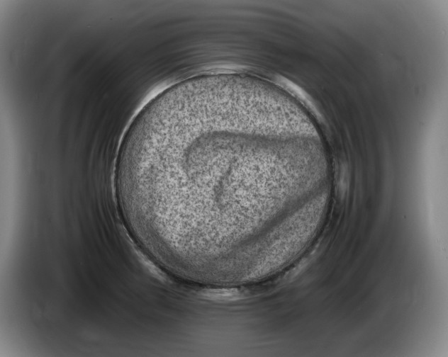 X0000086281186200704191940