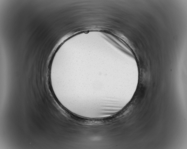 X0000086281187200704191940