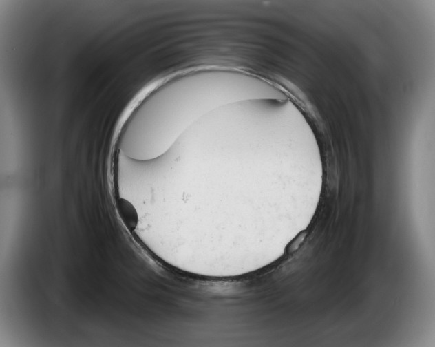 X0000086281188200704191939