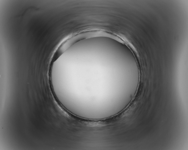 X0000086281189200704191939