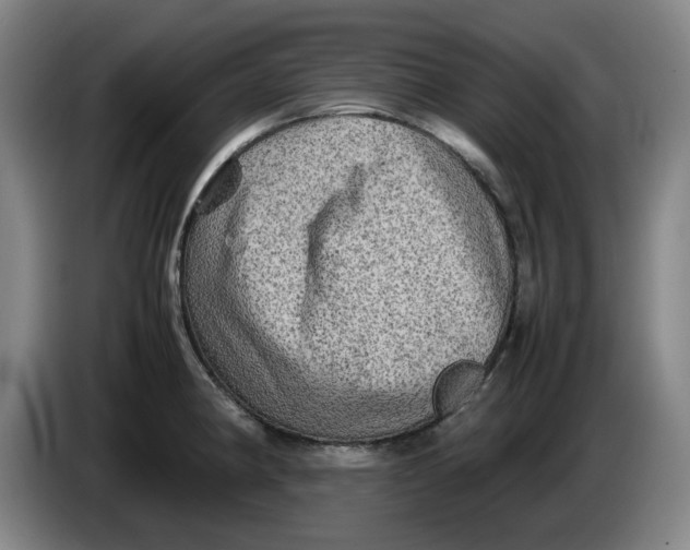 X0000086281190200704191939