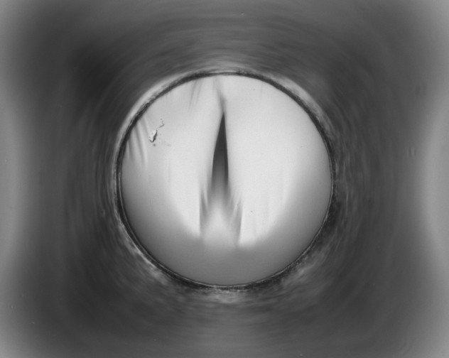 X0000086281191200704191939