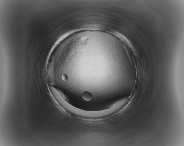 X0000086281192200704191939