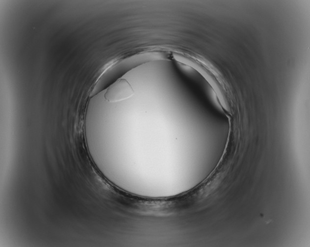 X0000086281193200704191939