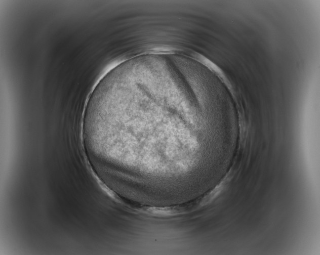 X0000086281194200704191939