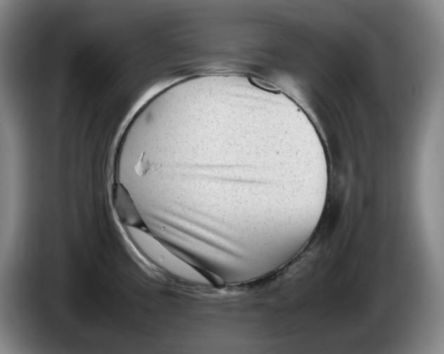 X0000086281195200704191939