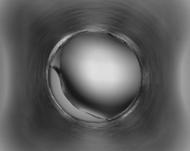 X0000086281196200704191939