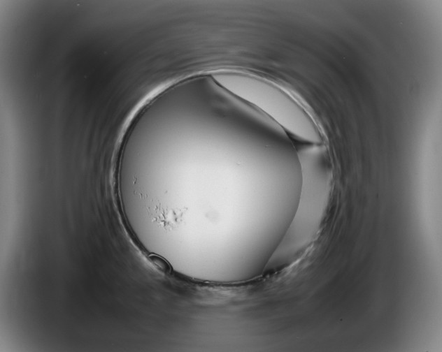 X0000086281197200704191939