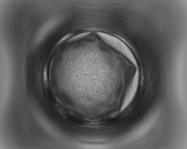 X0000086281198200704191939