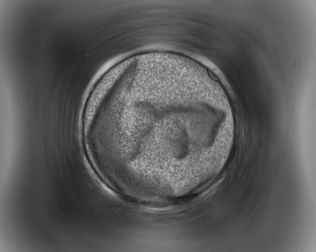 X0000086281199200704191939