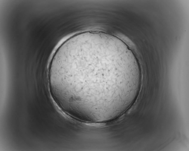 X0000086281200200704191939