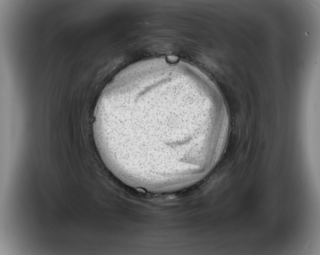 X0000086281201200704191939