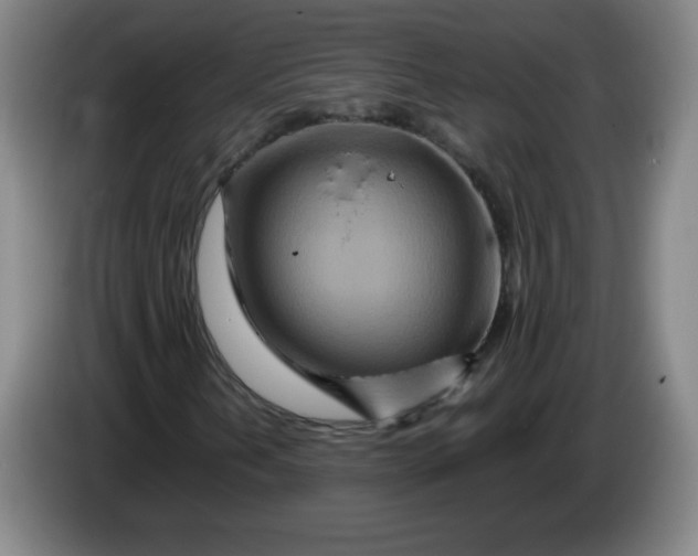 X0000086281202200704191939