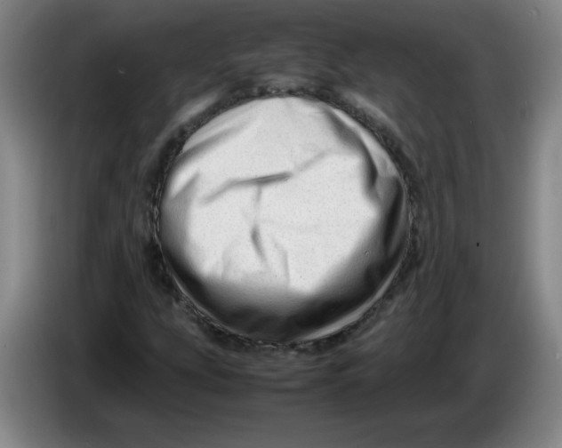 X0000086281207200704191939