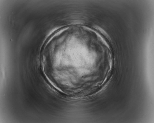 X0000086281212200704191939