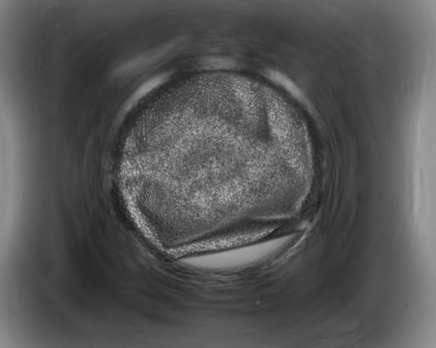 X0000086281213200704191939