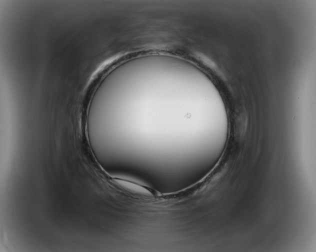 X0000086281214200704191939