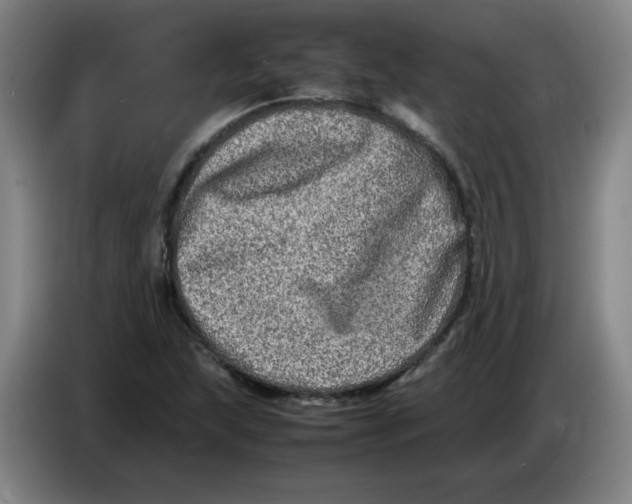 X0000086281215200704191939