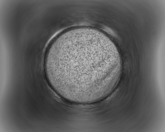 X0000086281216200704191939