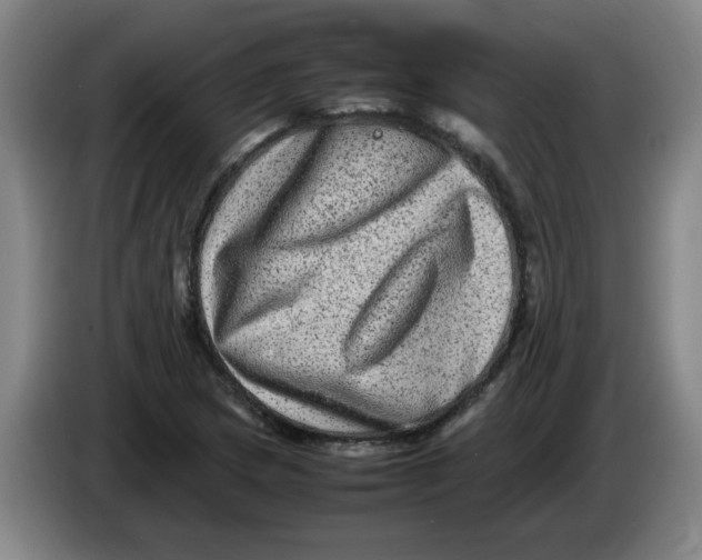 X0000086281217200704191939