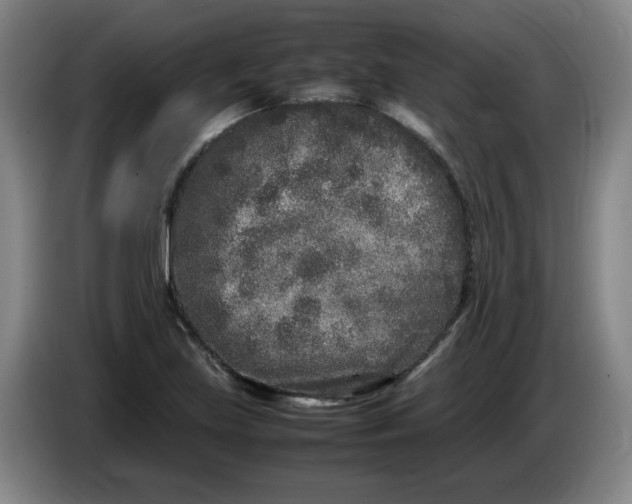 X0000086281219200704191939