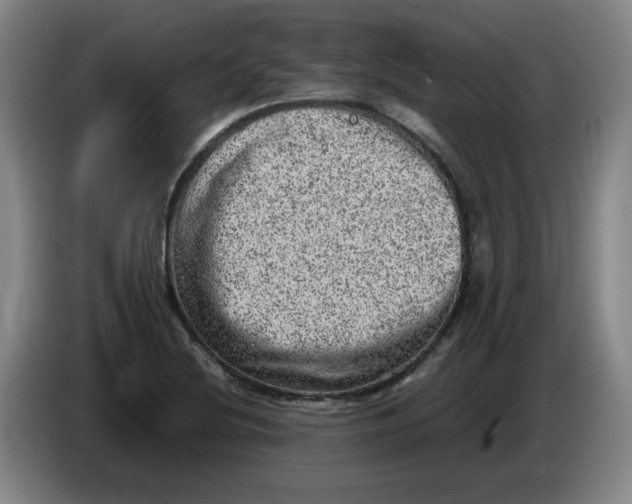 X0000086281220200704191939