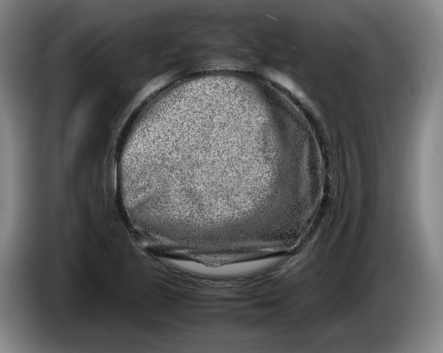 X0000086281221200704191939