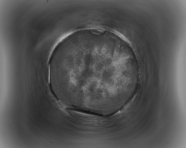 X0000086281223200704191939