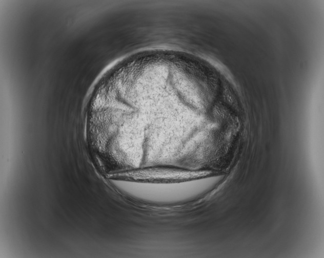 X0000086281224200704191939