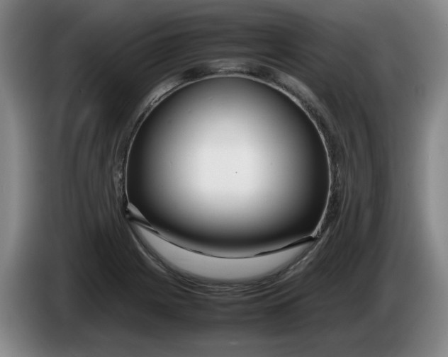 X0000086281225200704191939