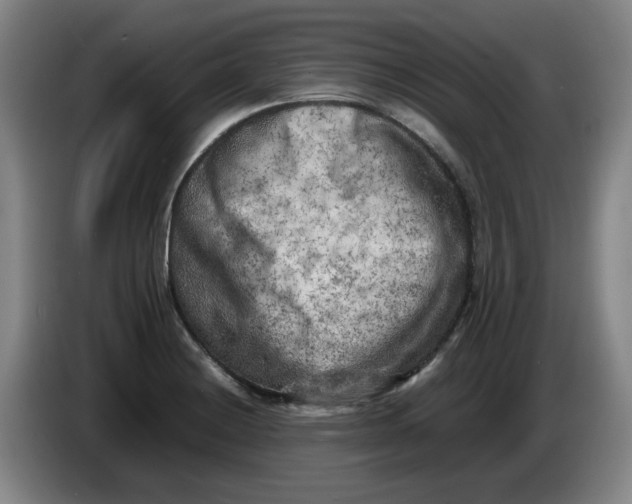 X0000086281228200704191939