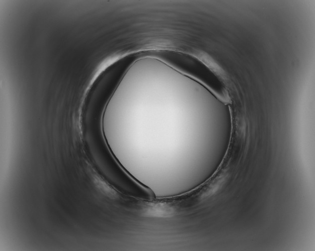 X0000086281230200704191939