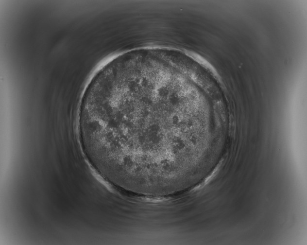 X0000086281231200704191939