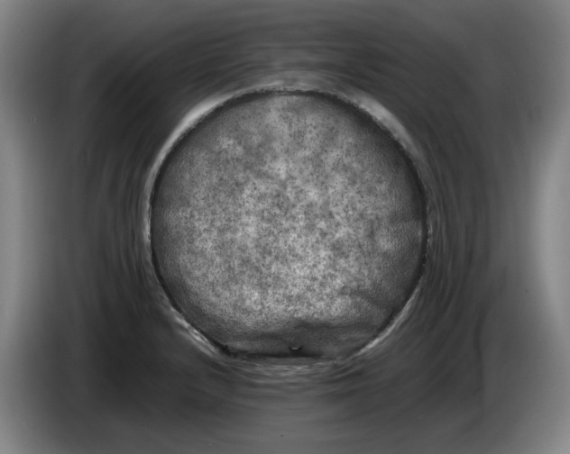 X0000086281232200704191939