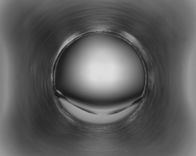 X0000086281234200704191939