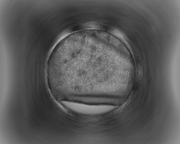 X0000086281235200704191939