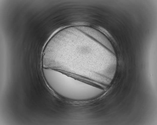 X0000086281236200704191939