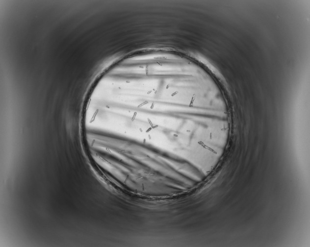 X0000086281237200704191939