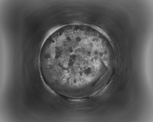 X0000086281239200704191939