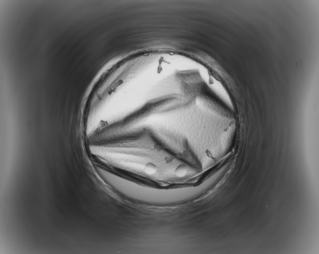 X0000086281240200704191939