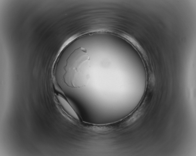 X0000086281242200704191939