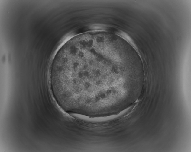 X0000086281243200704191939