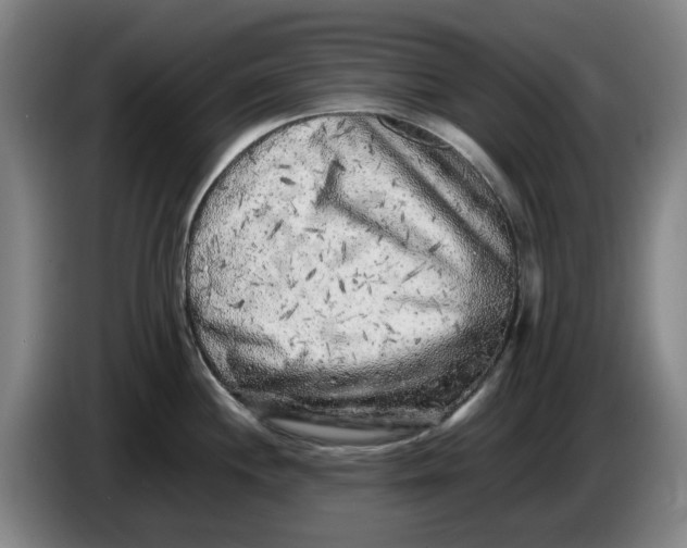 X0000086281244200704191939