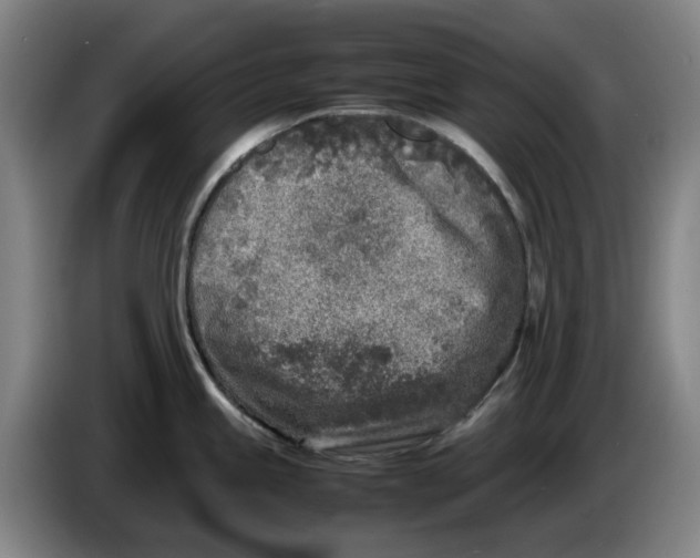 X0000086281245200704191939