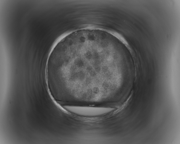 X0000086281247200704191939