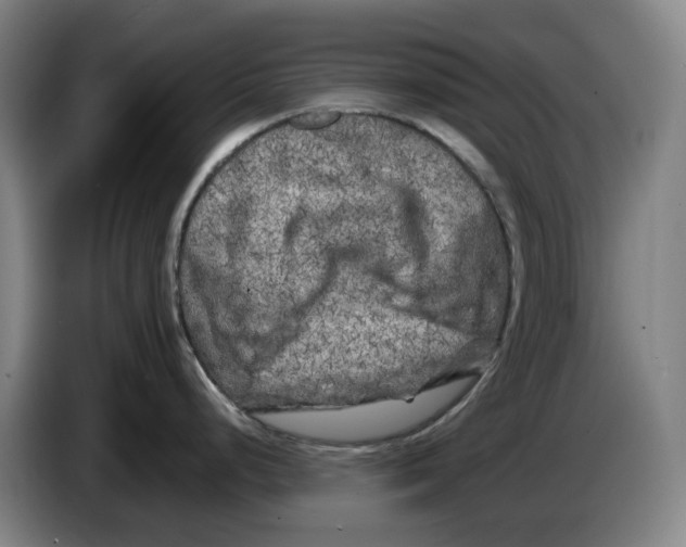 X0000086281248200704191939