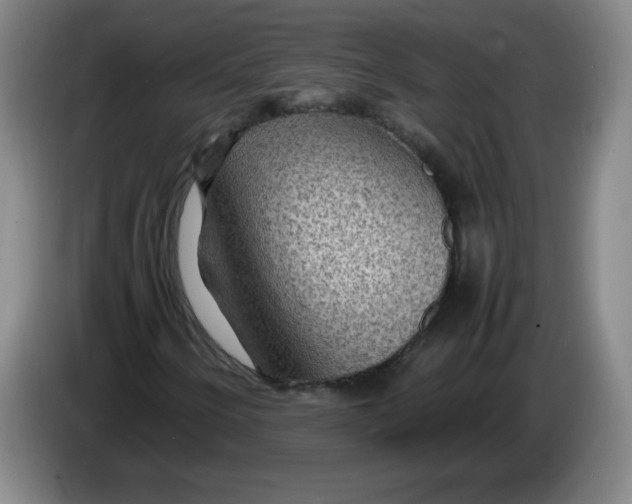 X0000086281250200704191939