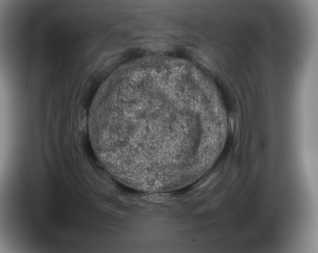 X0000086281251200704191939