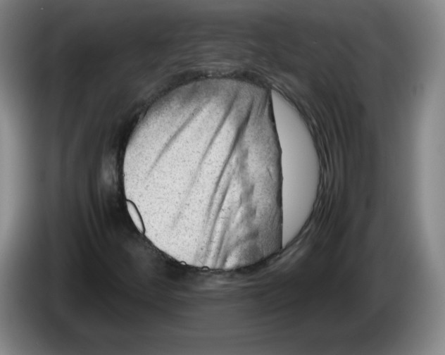 X0000086281252200704191939